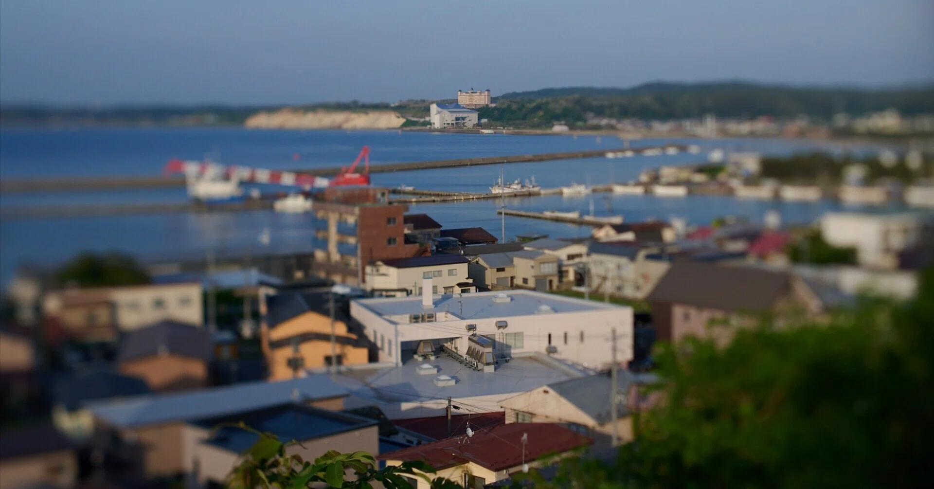 TTArtisan Tilt 50mm f1.4を購入しました｜世の中いろいろ