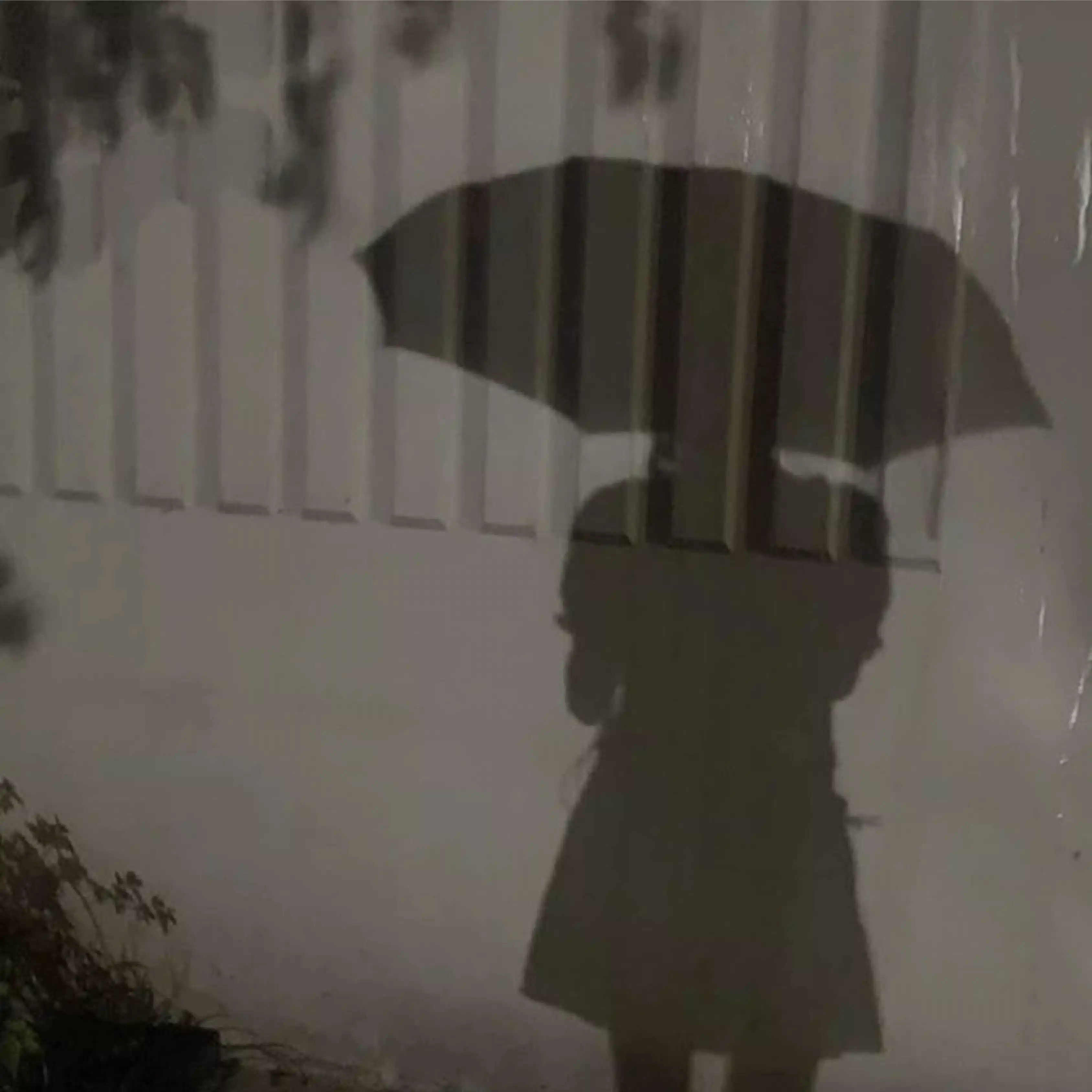 梅雨生まれのなずな©