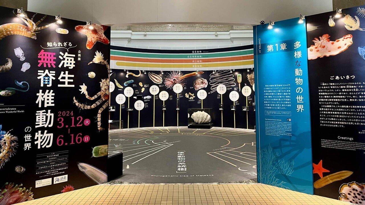 海産無脊椎動物多様性学 100年の歴史とフロンティア Amazon | 海産無脊椎動物多様性学 100年の歴史とフロンティア