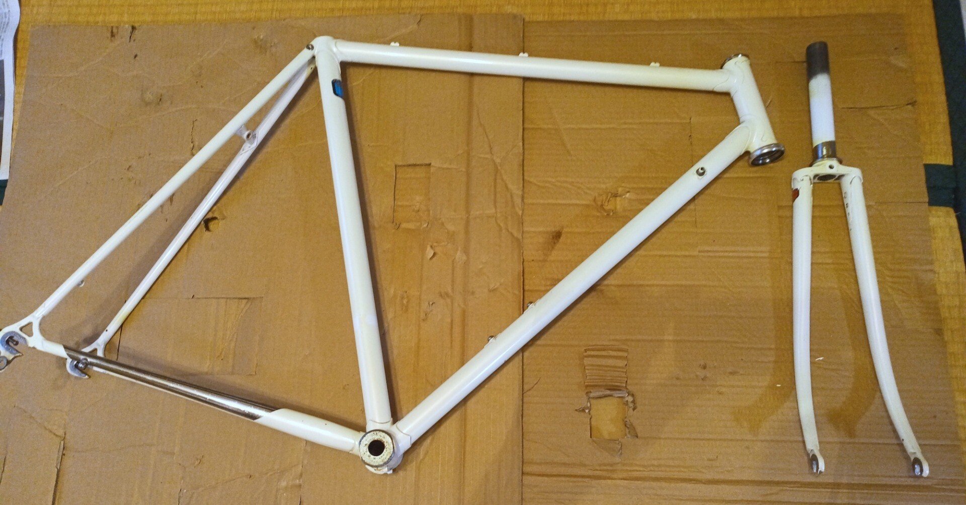 1df3ed2c1f2c697c5226087b07ac38