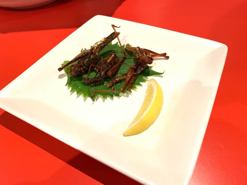 閲覧注意 ゲテモノ料理屋に行ってきた かすみ Note 閲覧注意 ゲテモノ料理屋に行ってきた かすみ Note