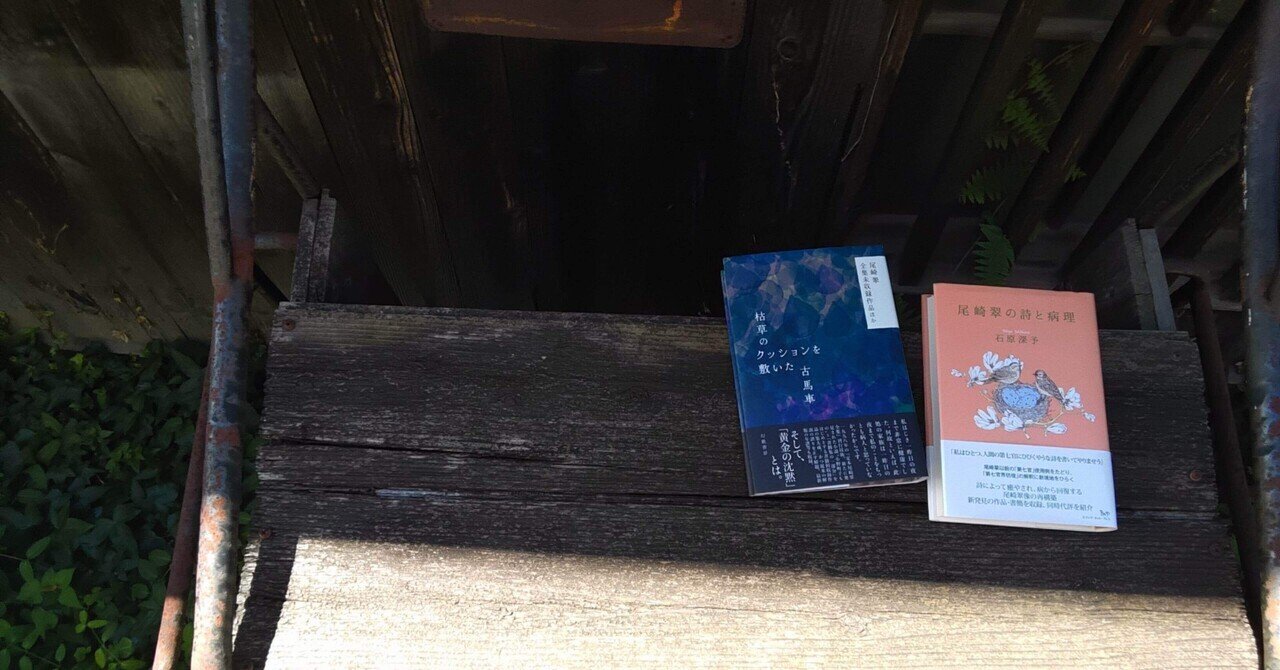 読書ノート／『枯草のクッションを敷いた古馬車 尾崎翠全集未