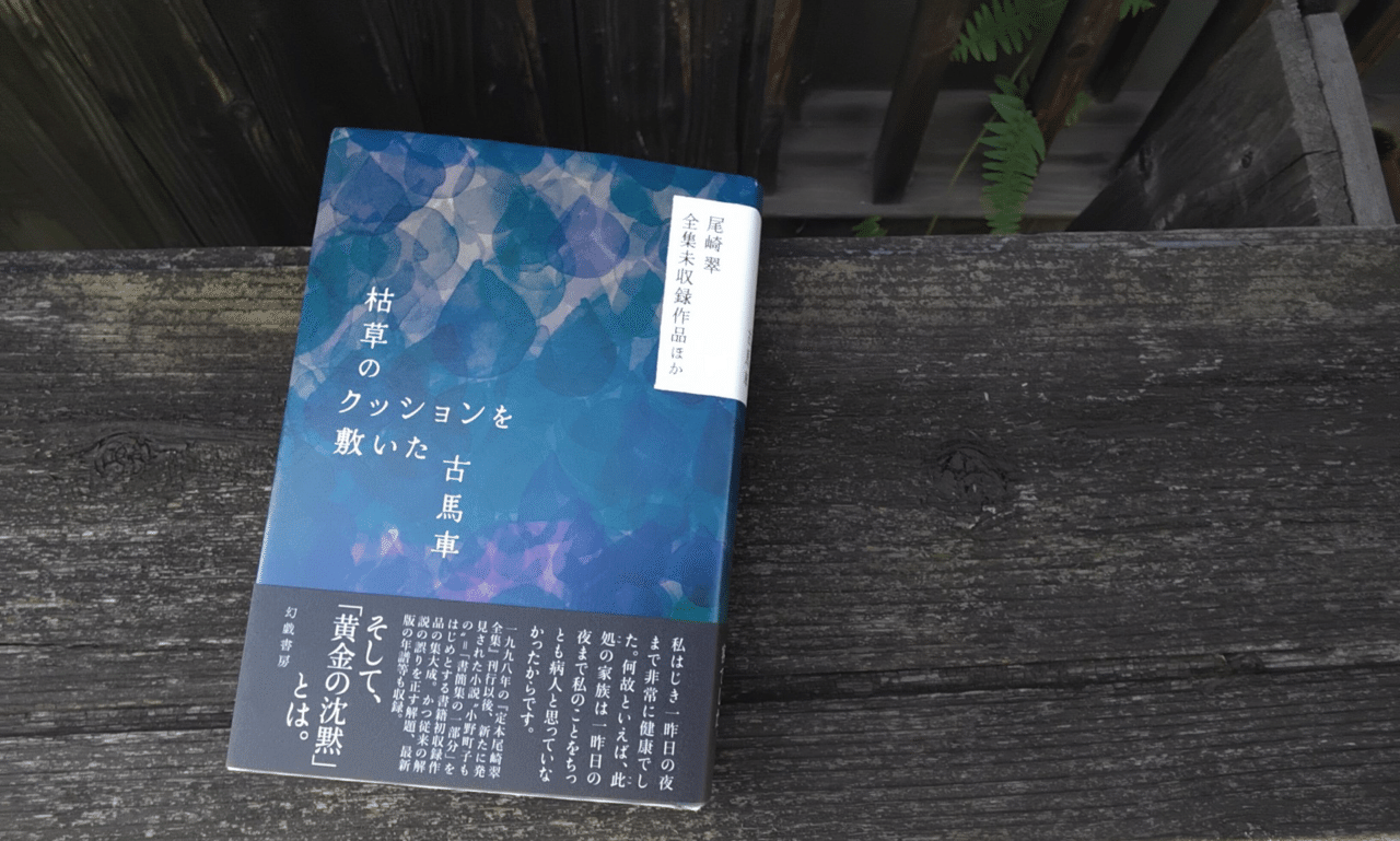 枯草のクッションを敷いた古馬車 尾崎翠全集未収録作品ほか