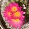 K.Sueoka