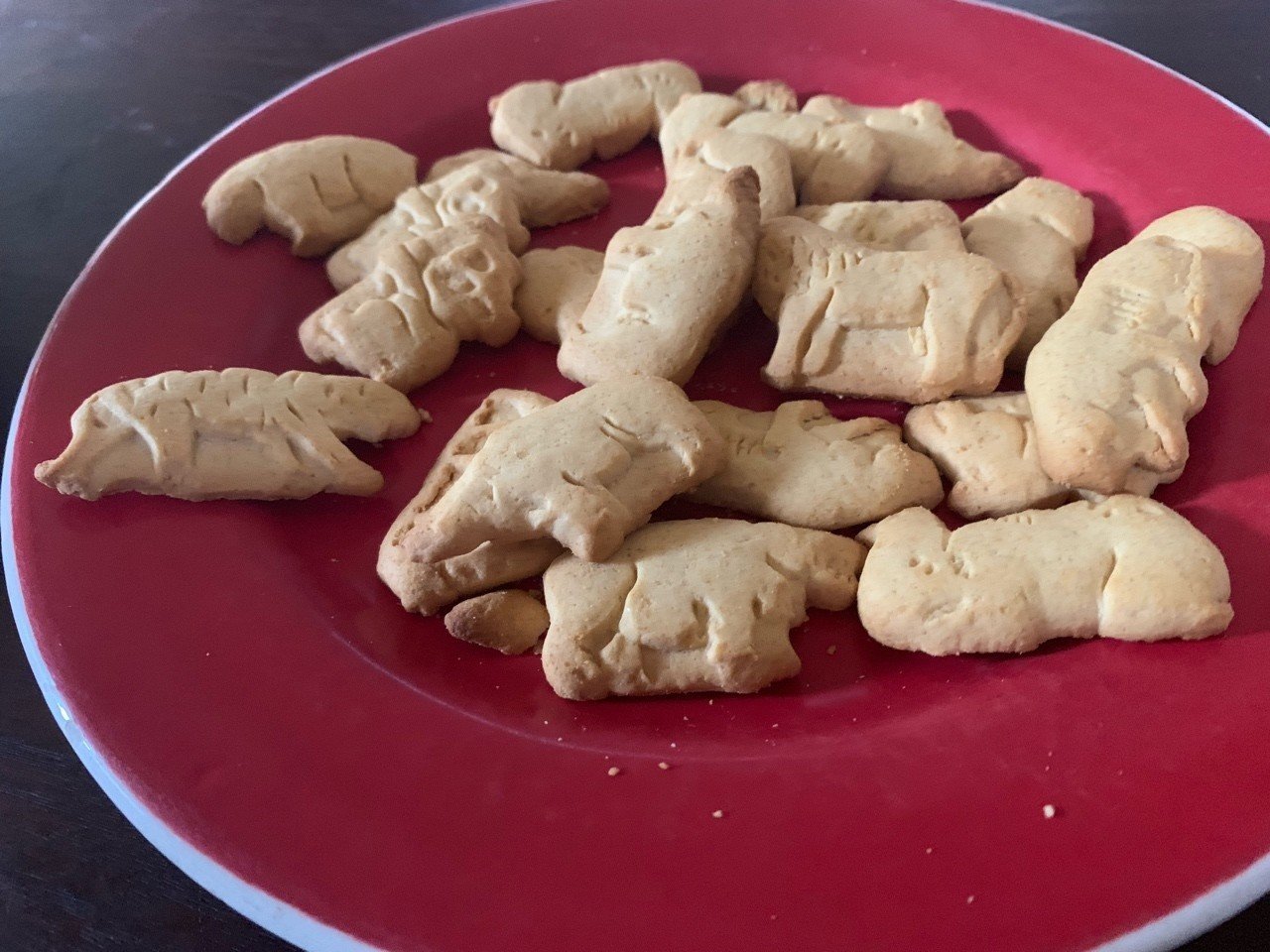 アメリカ版たべっこどうぶつ Blue Leopard Note アメリカ版たべっこどうぶつ Blue Leopard Note