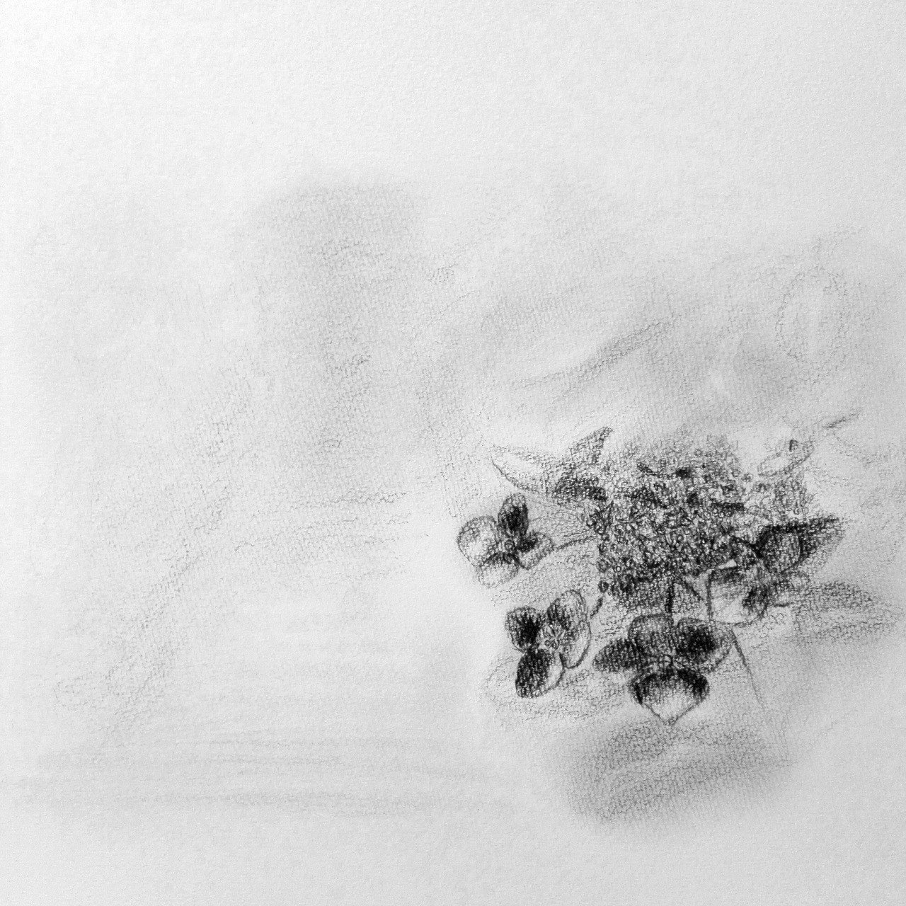 鉛筆画の紹介｜ヒロの休日