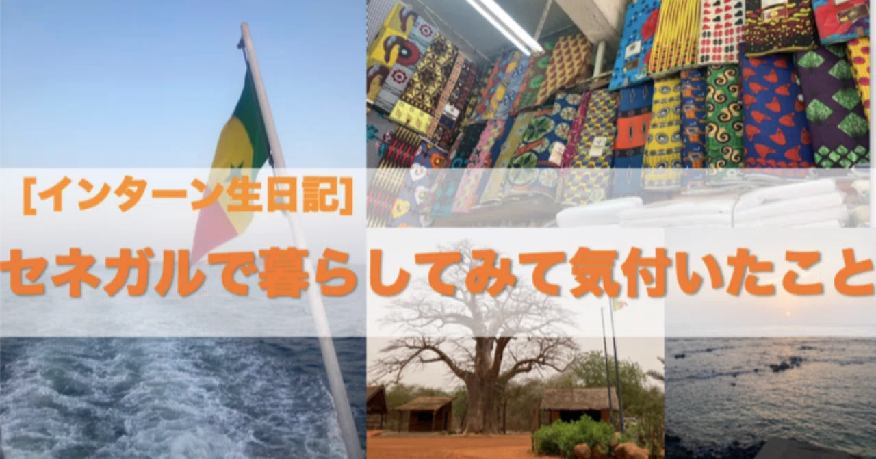 《インターン生日記》セネガルで暮らして活動してみて|Gueneu