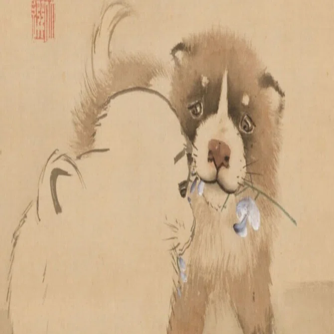 犬派？ 猫派？｜popo