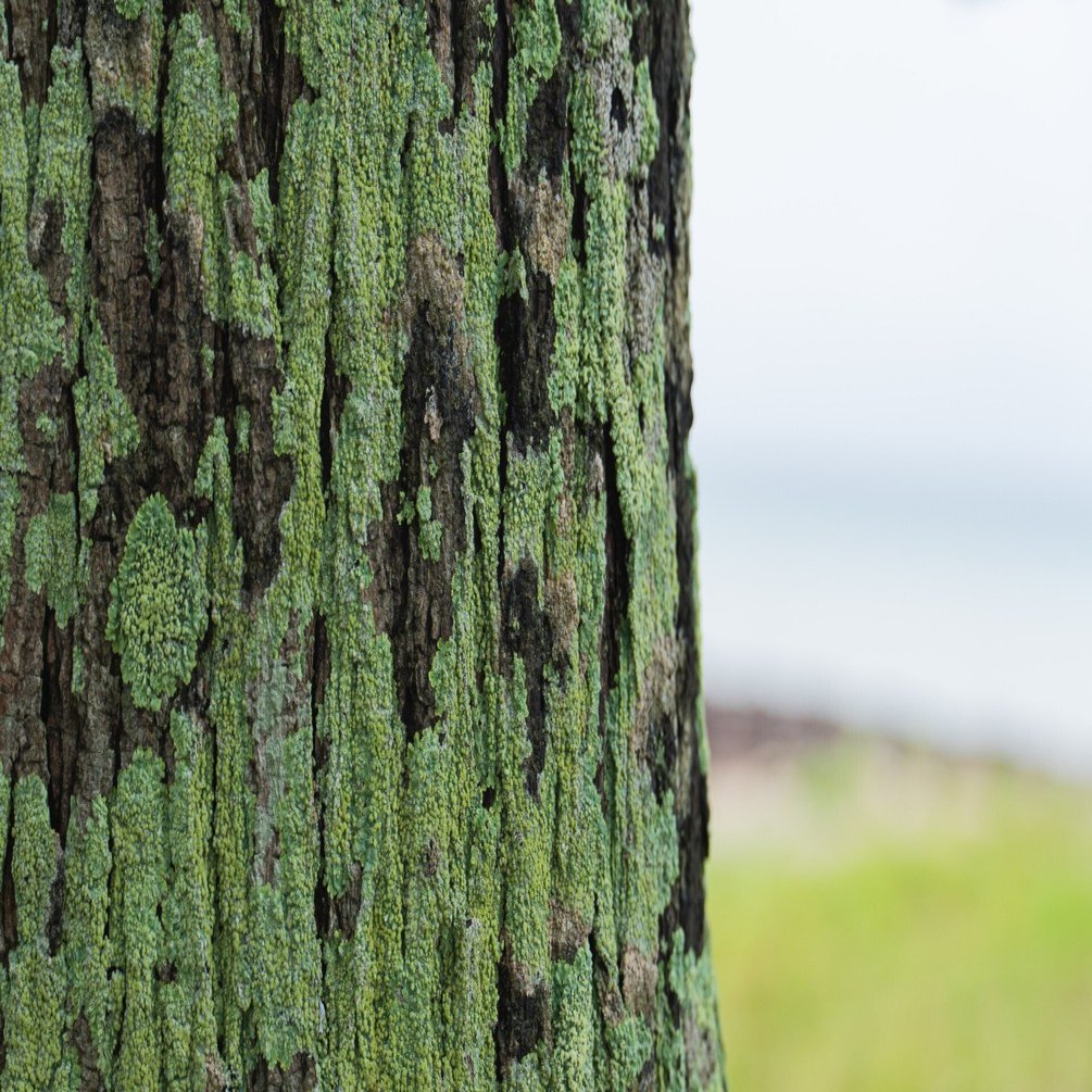 子供に教えるカメラの基礎知識②｜ほびマガ
