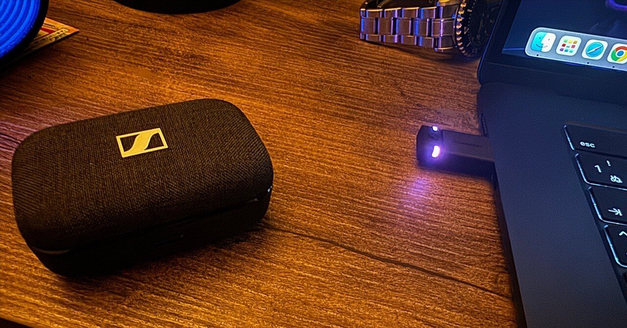 ガチレビュー】完全ワイヤレスイヤフォンSENNHEISER MOMENTUM True