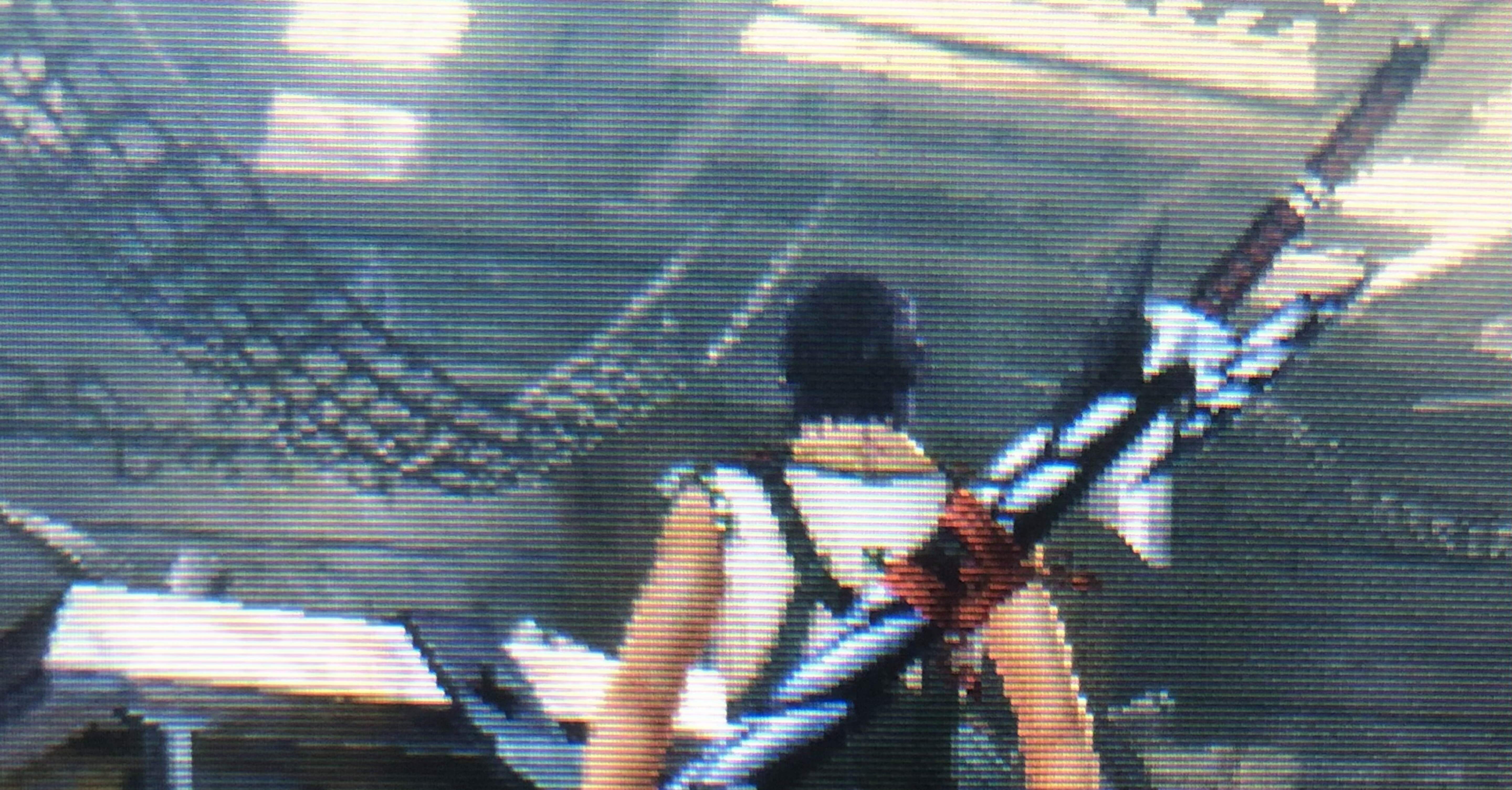 モンハンxx武器紹介】第32回 赫醒刀【閃武】｜ツチノコ