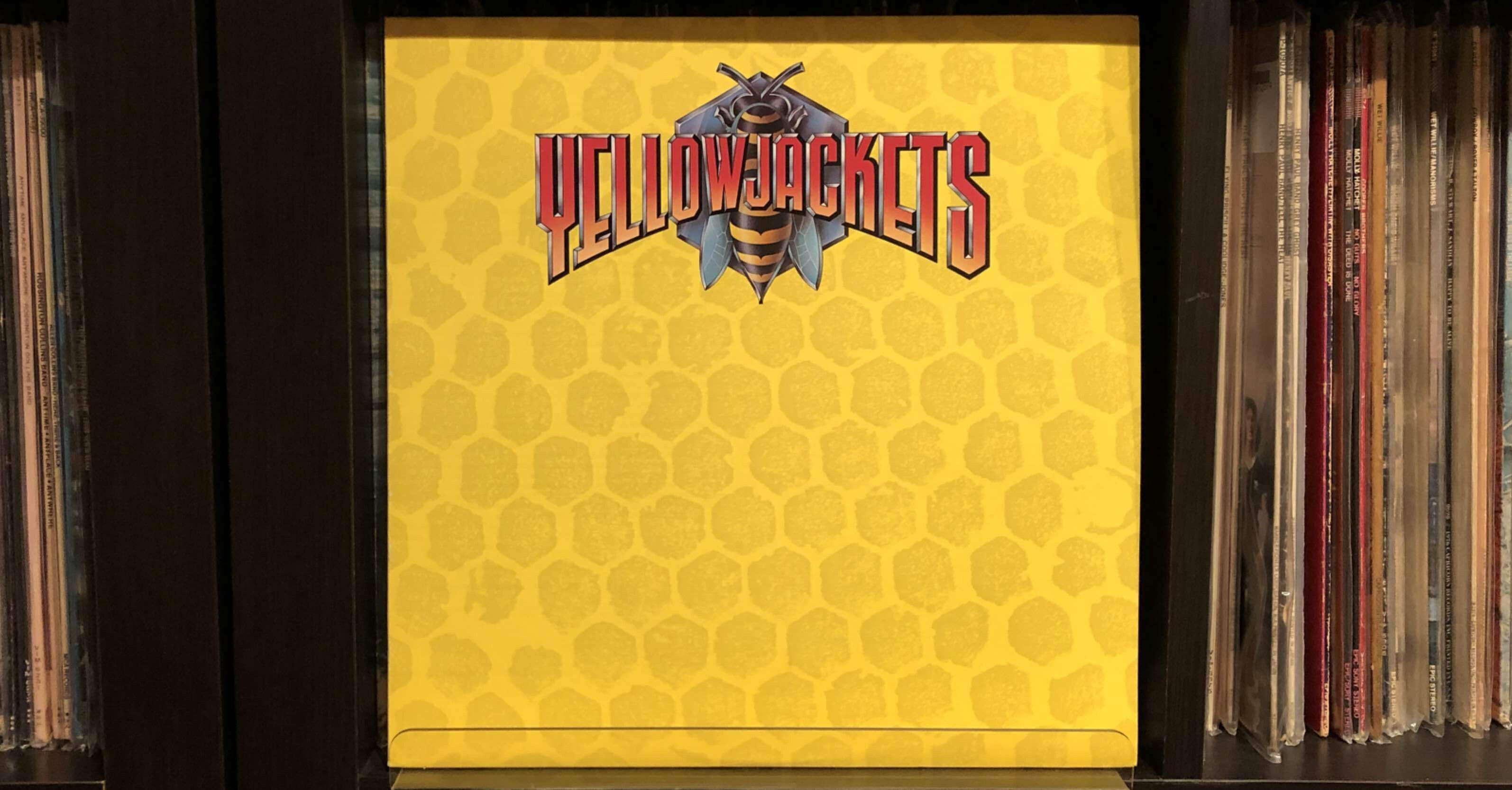 イエロージャケッツ／イエロージャケッツ ('81)｜Takeshi Tada