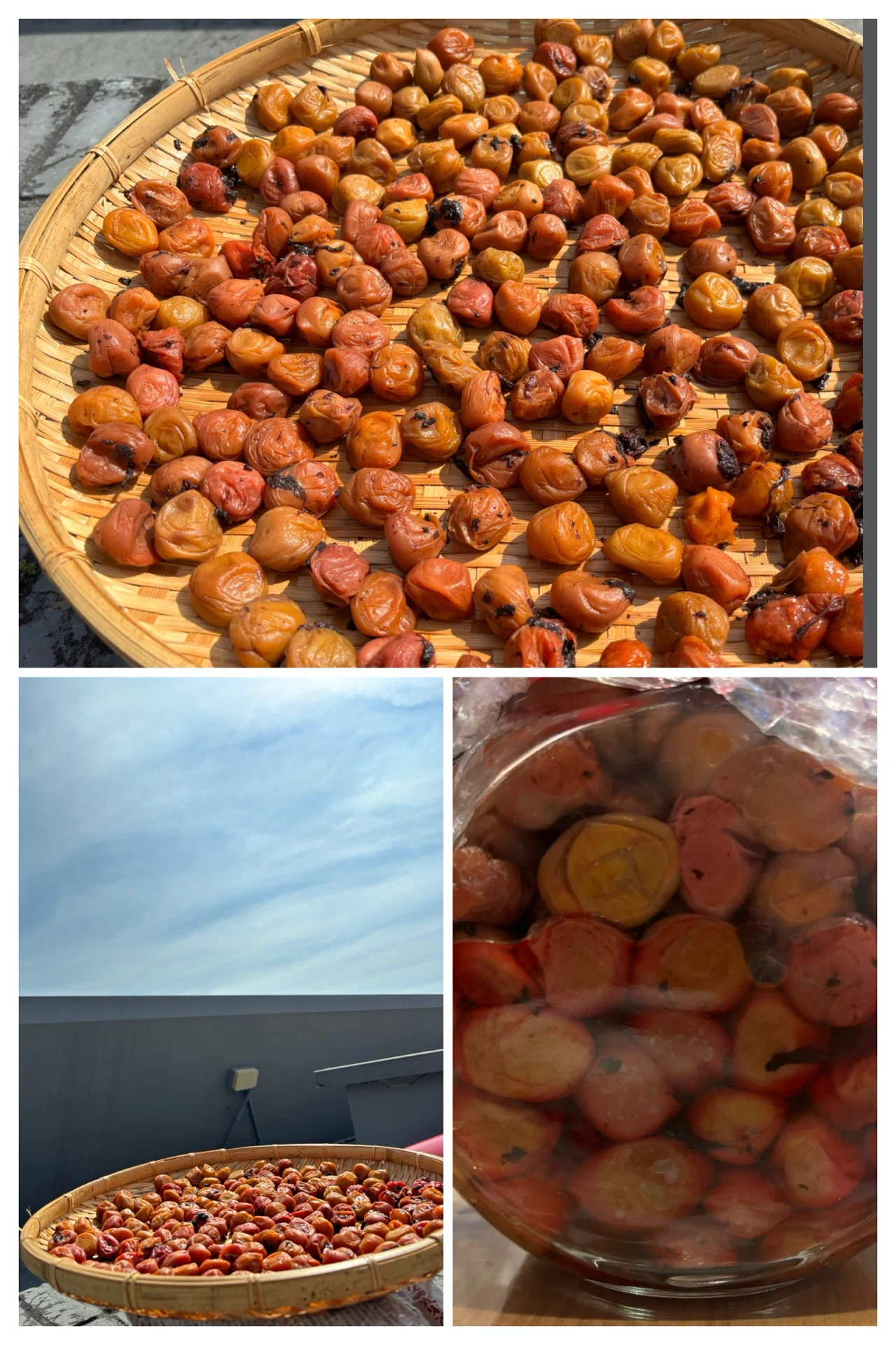 一足お先に梅仕事を終える 台湾では梅の時期は日本より1か月以上早い