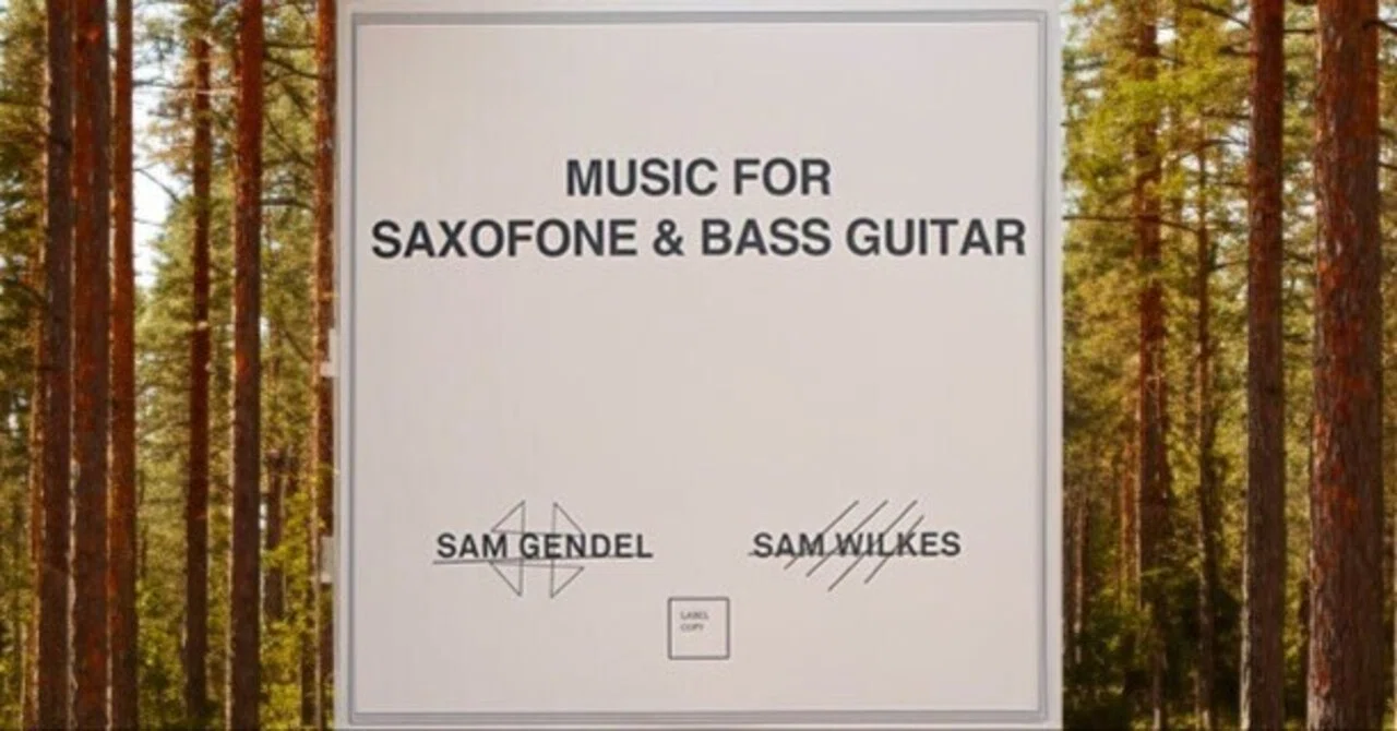 Sam Gendel・Sam Wilkes/Music for Saxofone and Bass Guitar｜Double 