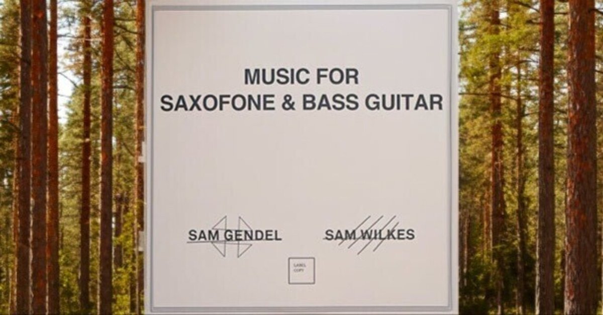 Sam Gendel・Sam Wilkes/Music for Saxofone and Bass Guitar