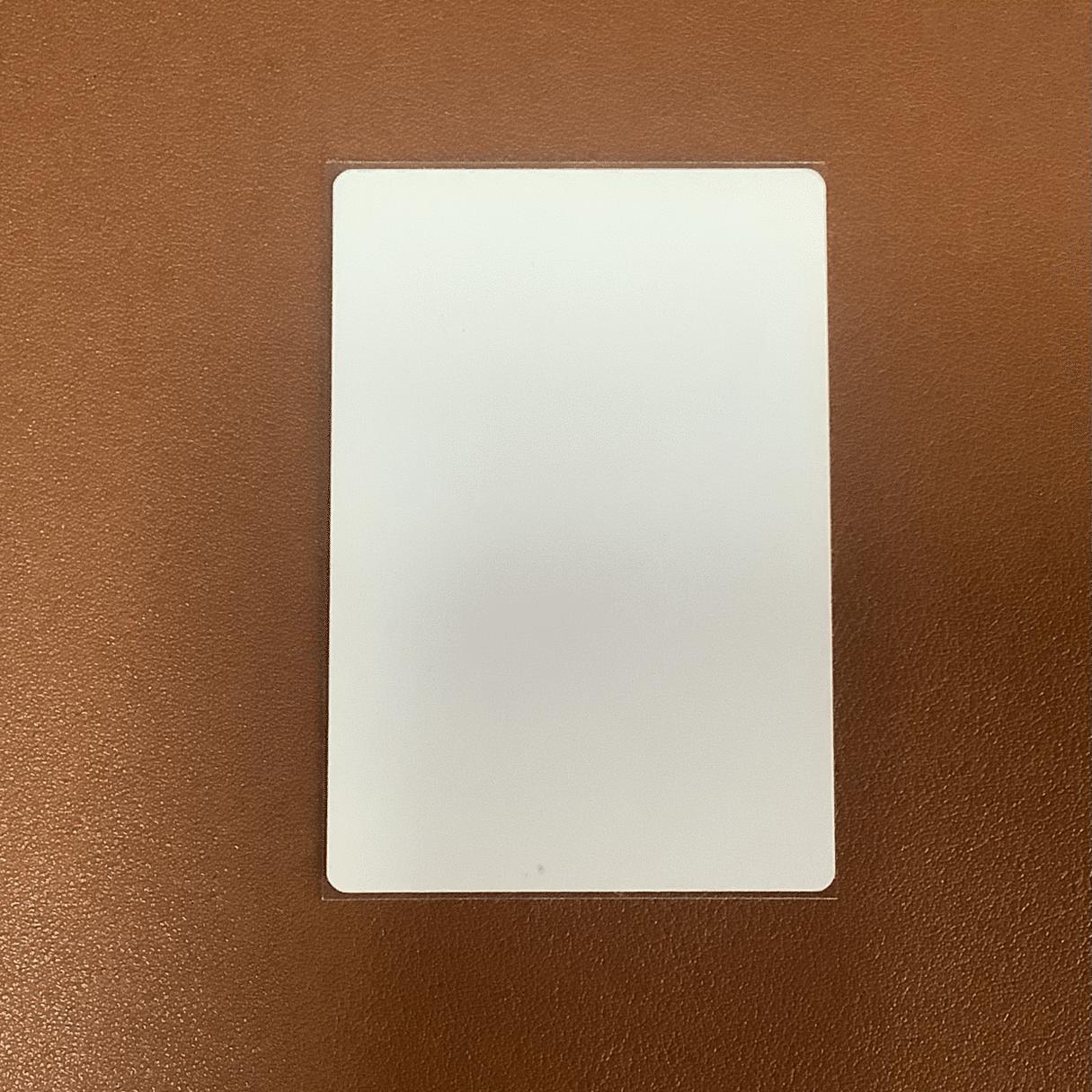 MTG/墨昇の潜入者foil/アーティストプルーフ/AP/海鵜げそ MTG/墨昇の潜入者foil/アーティストプルーフ/AP/海鵜げそ