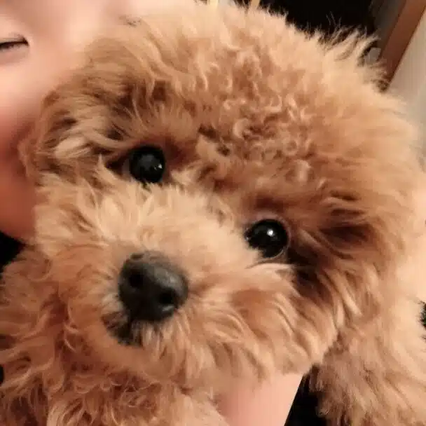 ひまわり🌻
