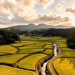 とも🌟ラジ 9月20日