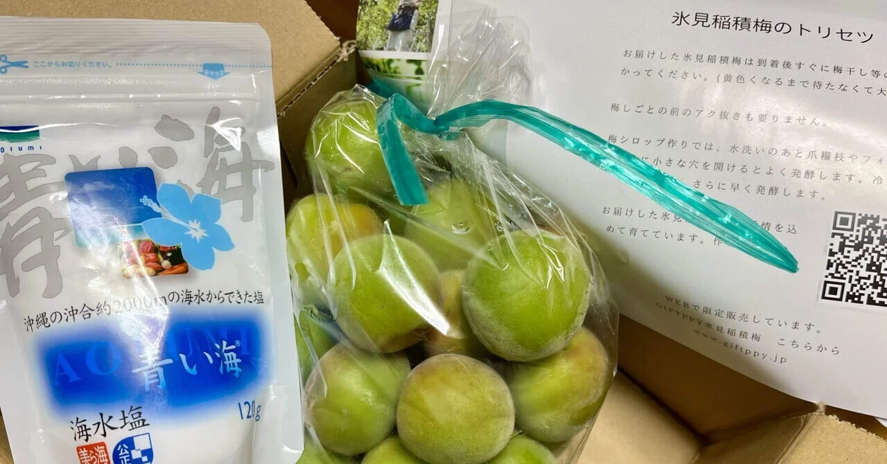 追熟させずに漬ける美しいまんまる希少梅、氷見市生まれの富山県指定