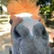 ナカムラリョウ