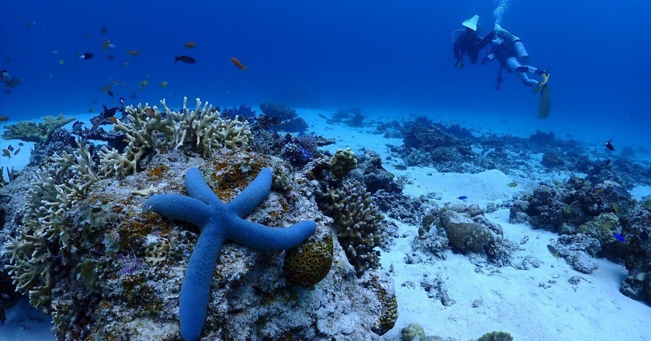 沖縄移住】慶良間諸島の阿嘉島に行ってみた｜sonicpower