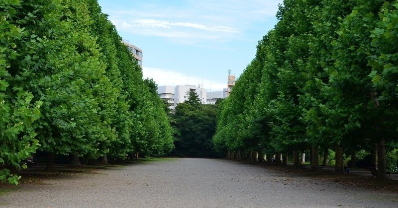 20年来の友と語る贅沢