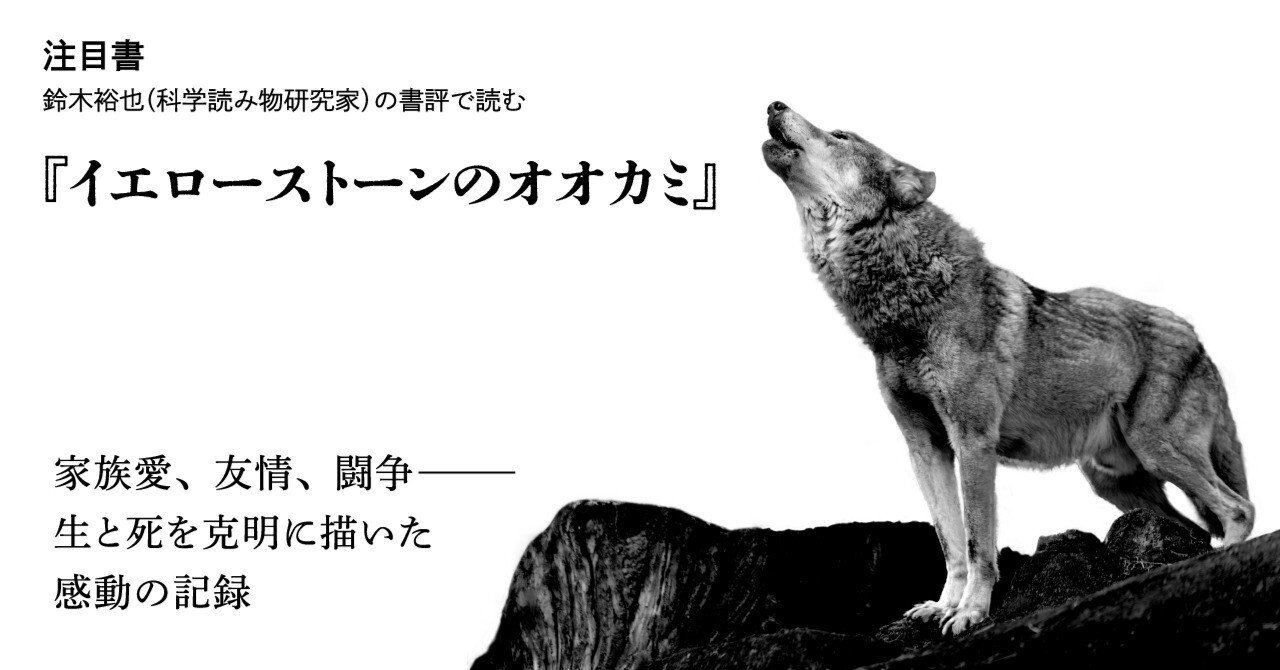 白揚社だよりvol.19 科学読み物研究家・鈴木裕也の書評で読む