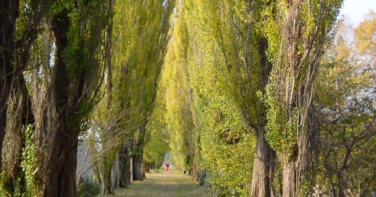 北大2年次編入　英語8カ年　平成27年度〜令和4年度 北大2年次編入 英語8カ年 平成27年度〜令和4年度