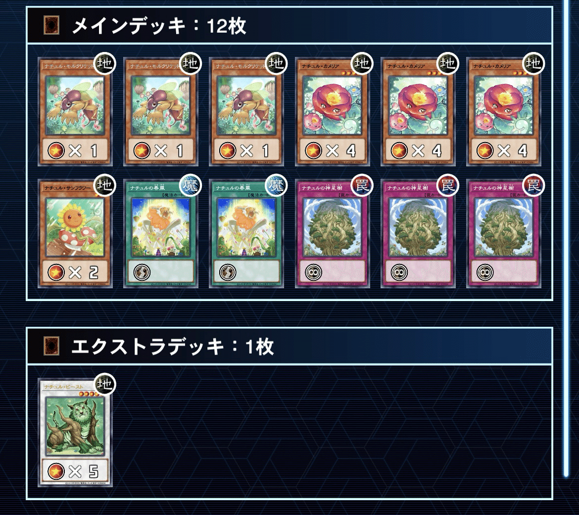 ナチュルGS|哀愁漂う。 ナチュルGS|哀愁漂う。