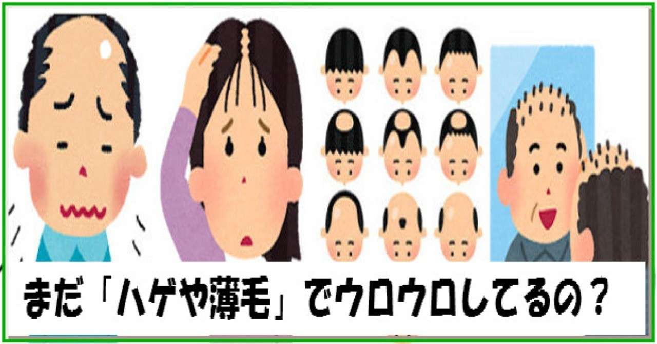 3カ月で髪が生えた の人気タグ記事一覧 Note つくる つながる とどける