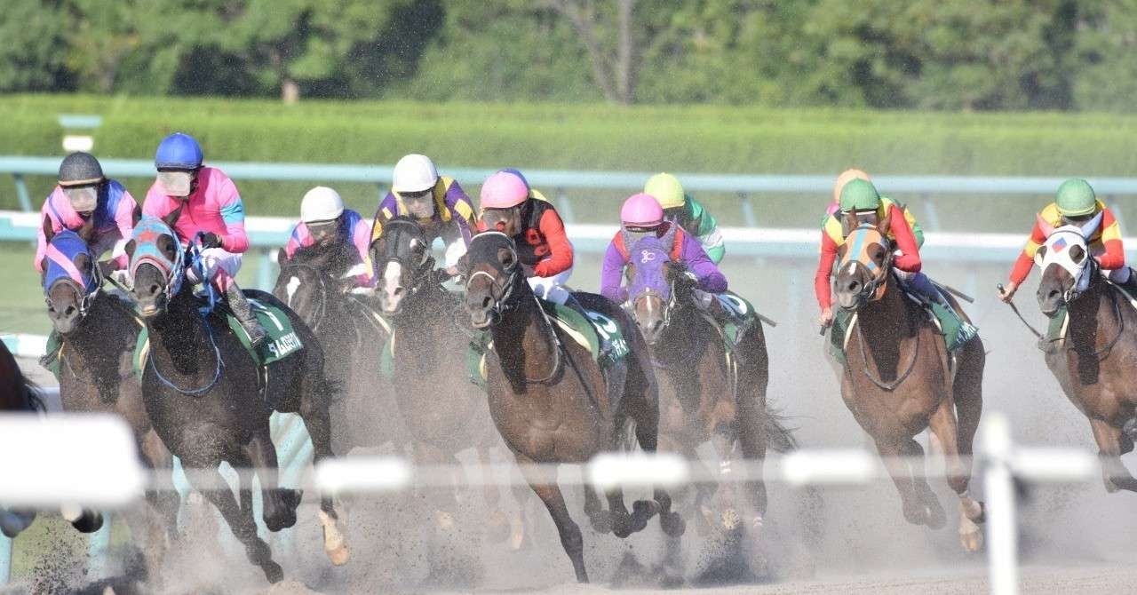 重賞1点勝負