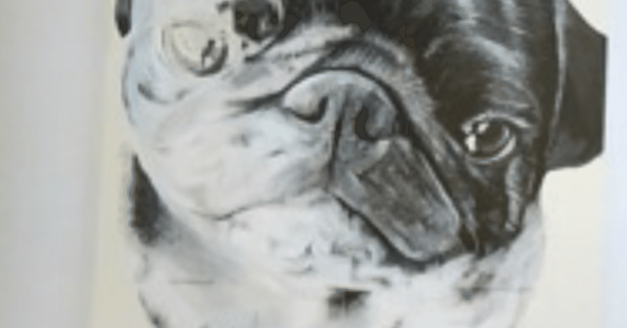 このパグ めちゃくちゃ可愛いまた絶対会いたい いつかまた観たいです Karin Ochi Note このパグ めちゃくちゃ可愛いまた絶対会いたい いつかまた観たいです Karin Ochi Note