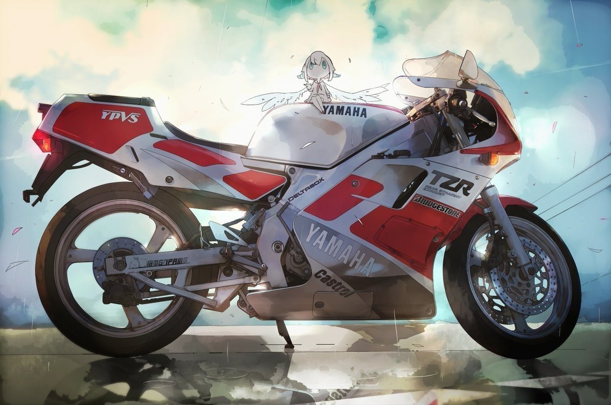 TZR250(3MA)｜Koma-Labo