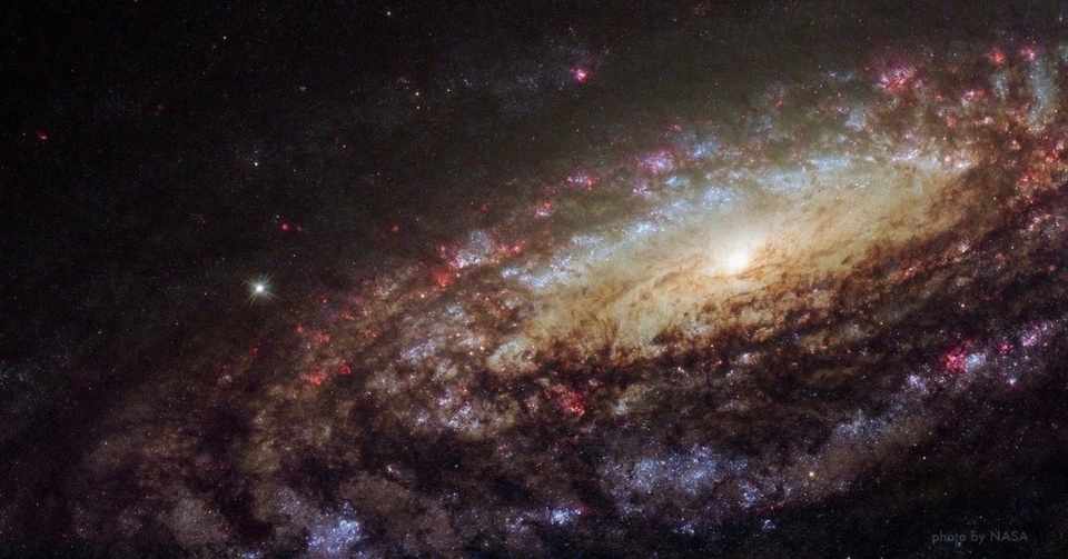 プロローグばっかりのオリジナルsfを書いていく わたしの宇宙への旅 いぬとぴあ Note