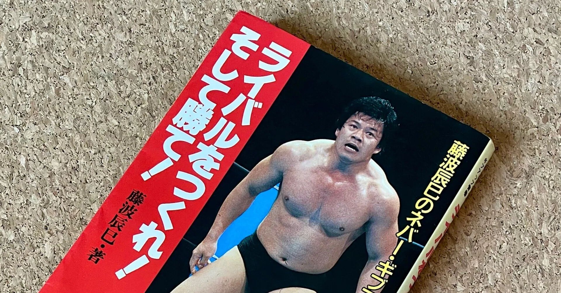 藤波辰爾」の人気タグ記事一覧｜note ――つくる、つながる、と
