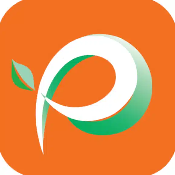 P-Lab.