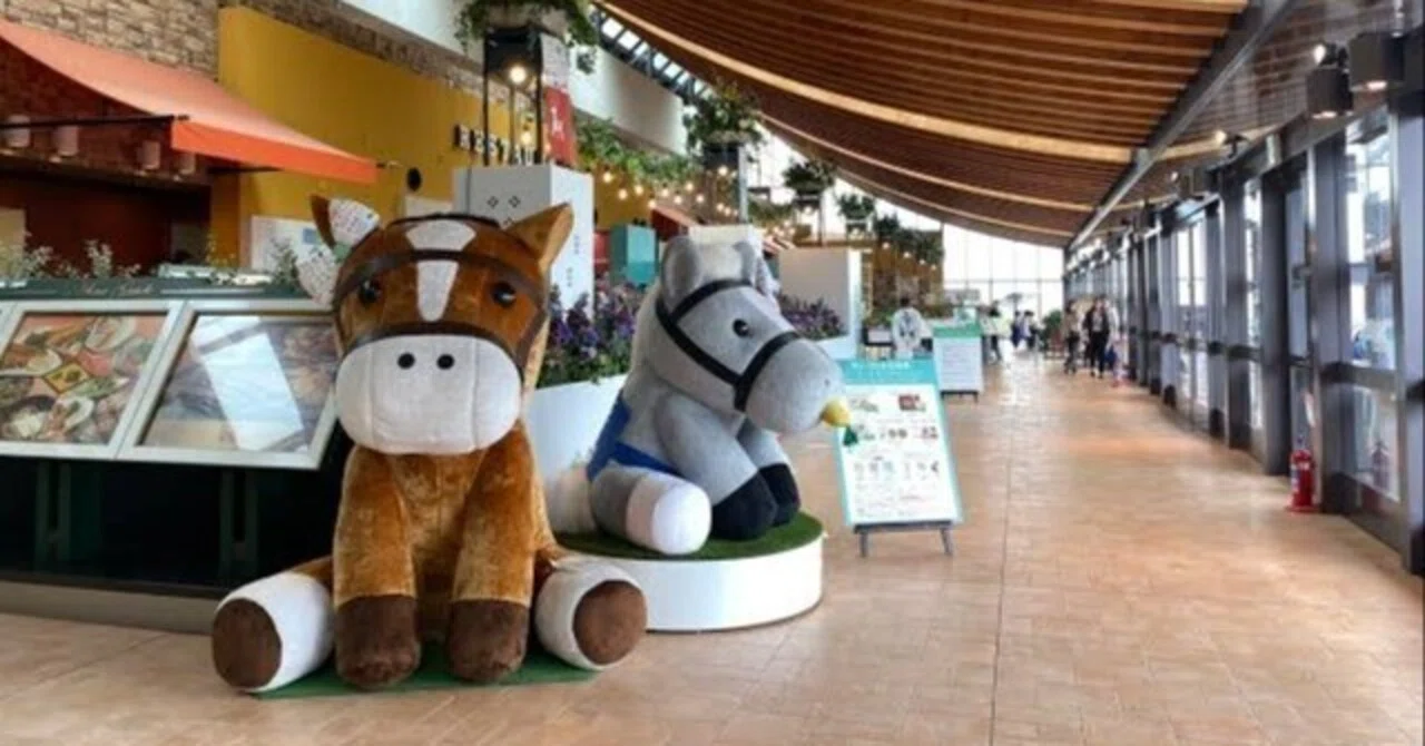 テーマパーク化した競馬場〜東京競馬場〜｜アヒル