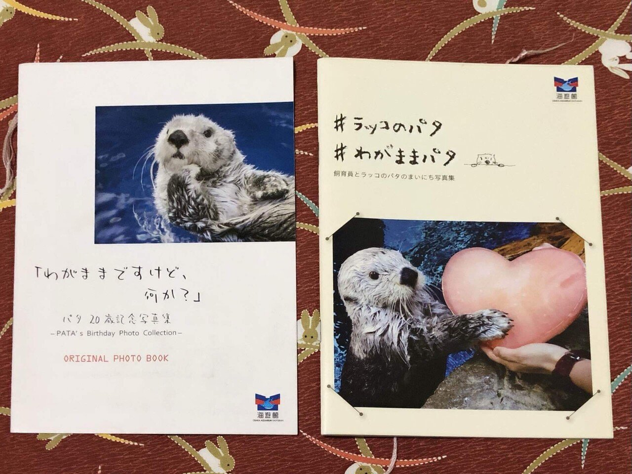 海遊館　ラッコ　写真集　2冊セット　パタ　ポストカード付き 海遊館 ラッコ 写真集 2冊セット パタ ポストカード付き Amazon