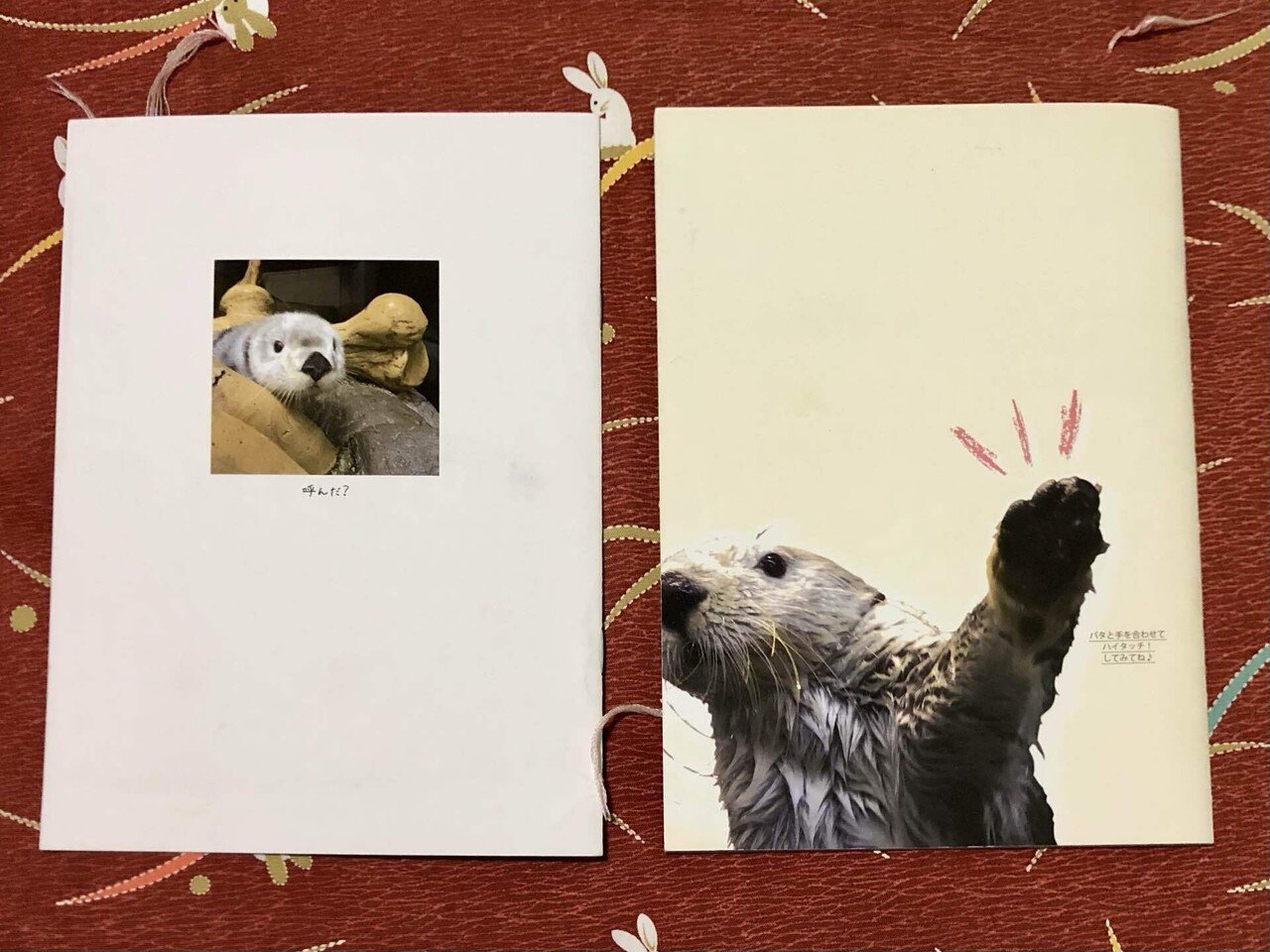 パラパラシネマ・水族館 1ラッコちゃん 2ネコとタコ　多田ヒロシ著　初版本集文社 パラパラシネマ・水族館(多田ヒロシ) / 古本、中古本、古書籍の