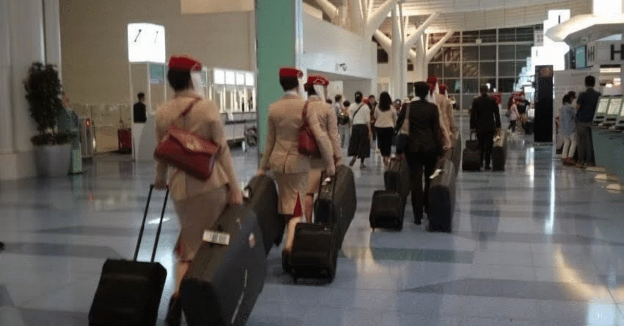 【大手航空会社出身】人事は教えてくれない!航空会社に入社して感じた3選|【就活】エアライン