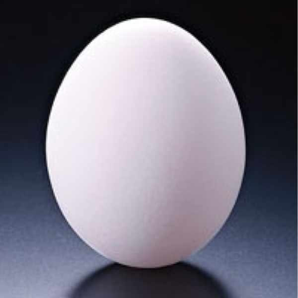 THERE ゼア照井利幸　ジレBill the Butcher チバユウスケ THERE ゼア照井利幸 ジレBill the Butcher チバユウスケ YUSUKE CHIBA