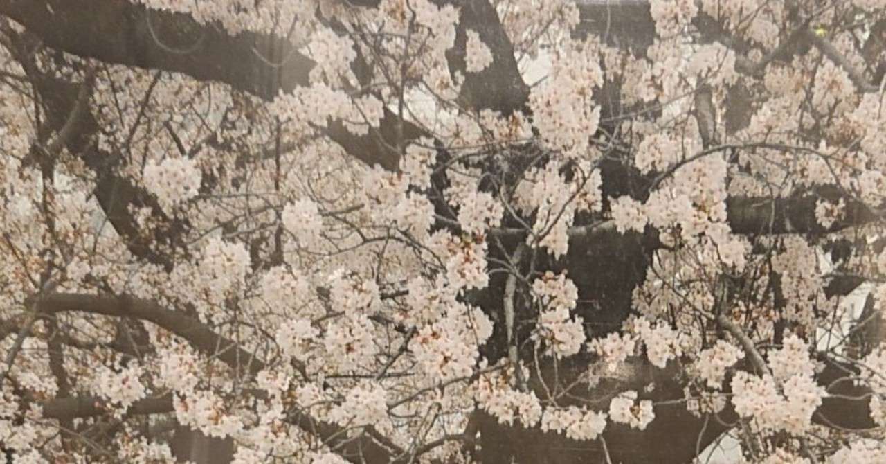 よく見てください これは男性に離婚を決意させた一枚の写真です
