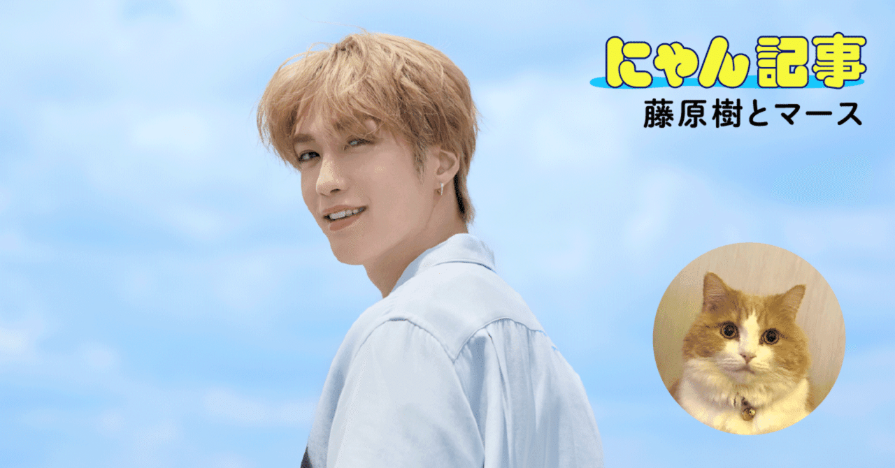 ねこ♡ページ キミとねこ。―藤原樹とマース―｜ヤマト運輸公式note