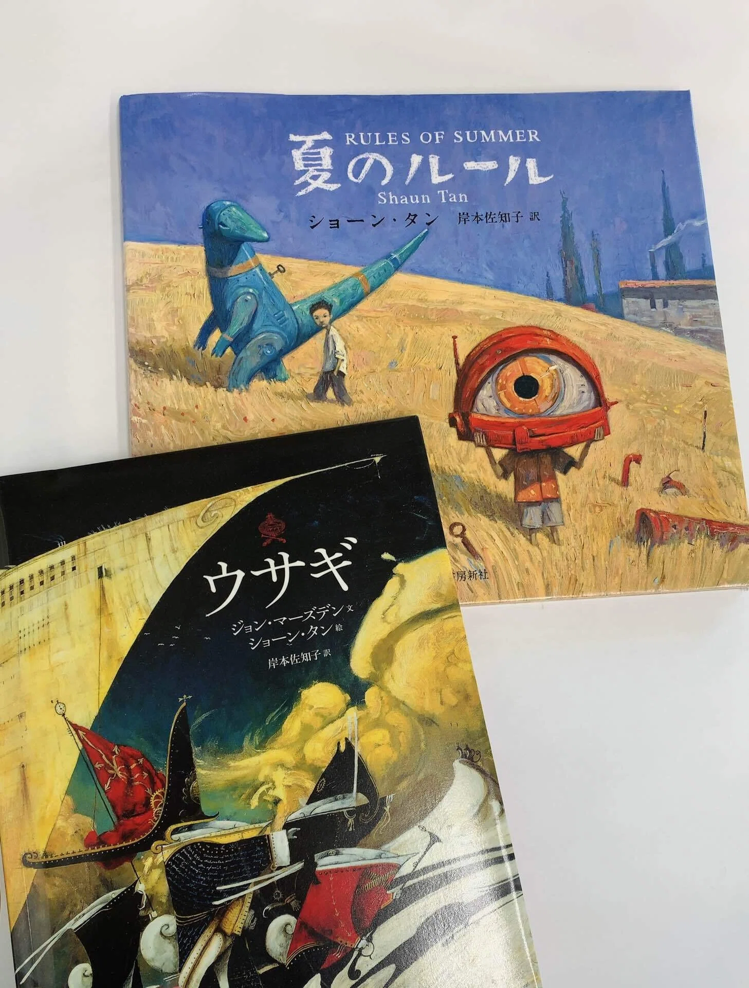 ショーン・タンの絵本が好き 初めは厚塗りの絵の雰囲気に惹かれて読み 