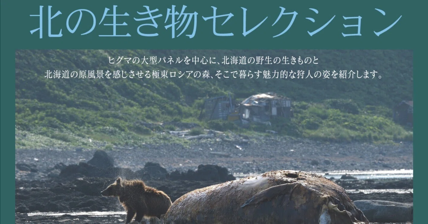 【絶版　大型写真集】山河有情　北海道百景 昭和58（1983）年刊 講談社 写真集『山河有情 北海道百景』講談社 更科源蔵 道ゆかりの写真家文筆