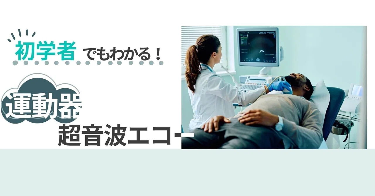 運動器超音波エコーの基本的な使い方と読み方｜スキマ時間のリハビリ学