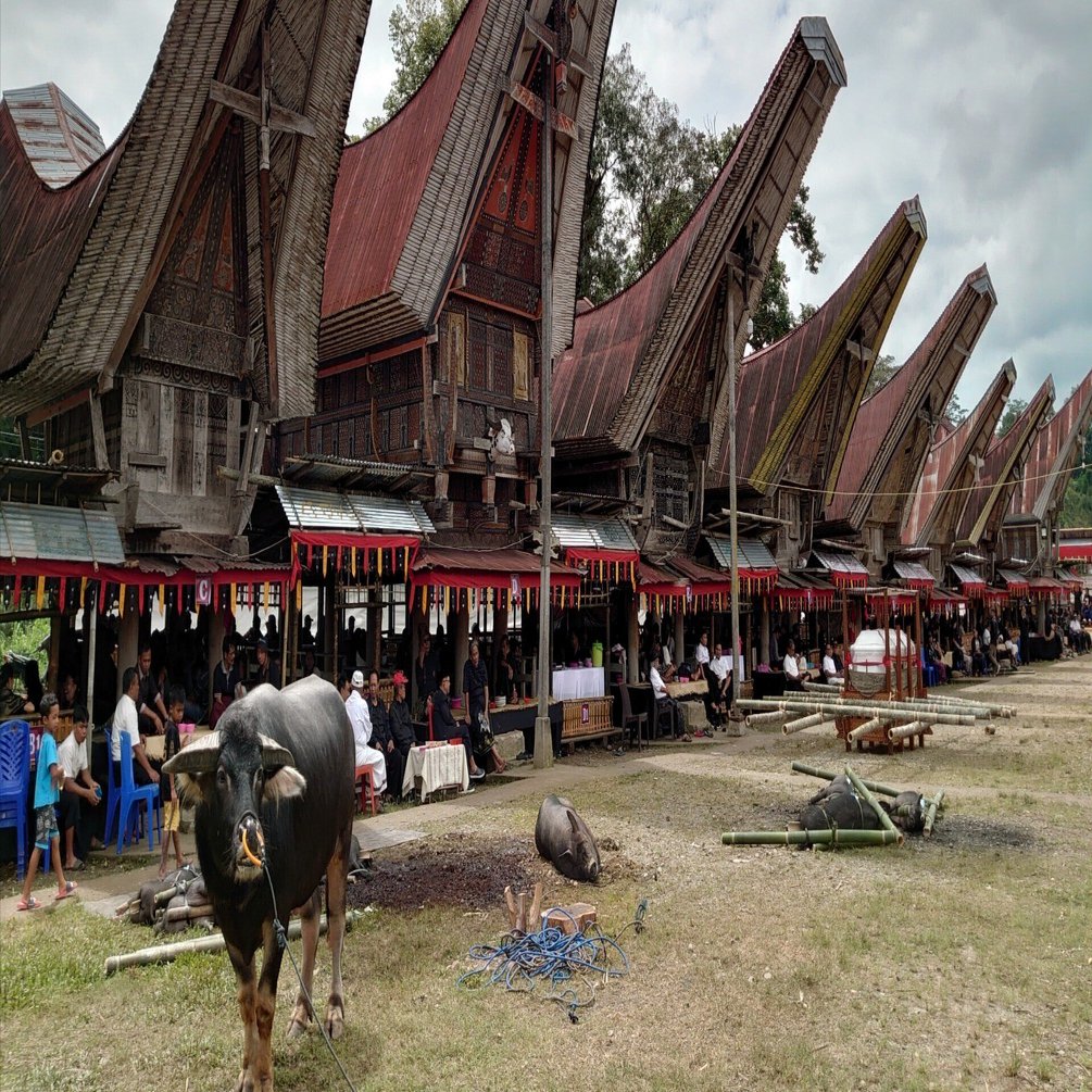 死ぬために生きる人々」トラジャ族の葬式に参列してみた【インドネシア