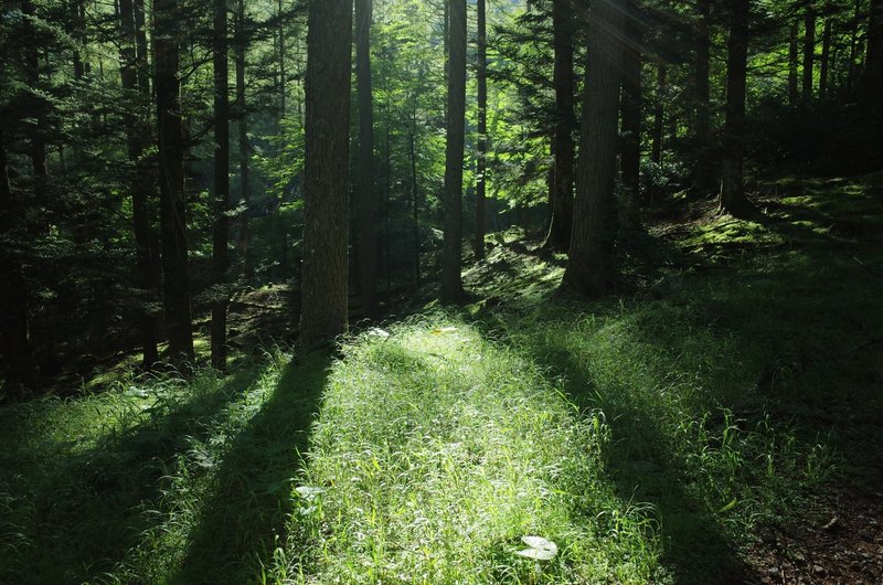 登って 千曲川水源をへて 甲武信ヶ岳 Kakuta Note