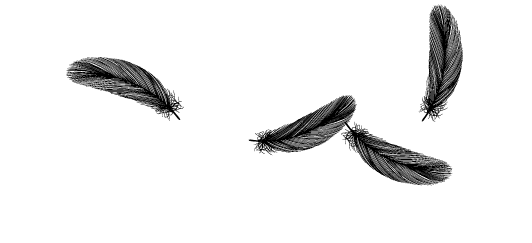Illustrator 羽が舞い散る背景を作る おまけ 孔雀の羽を描く Fmic7743 Note Illustrator 羽が舞い散る背景を作る おまけ 孔雀の羽を描く Fmic7743 Note