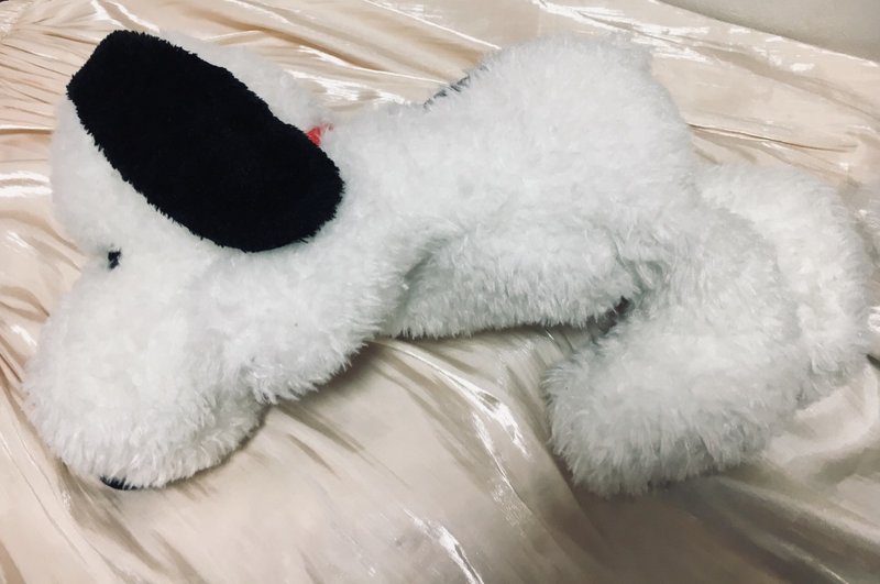 日々是スヌーピー 湯たんぽ編 もも Note